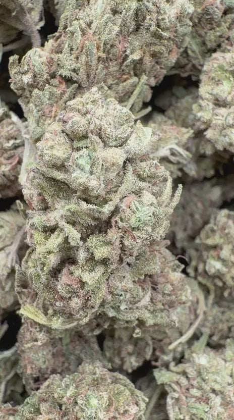 Banana Runtz - Bulk - Hybrid