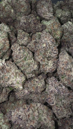 Purple Punch - Bulk - Indica