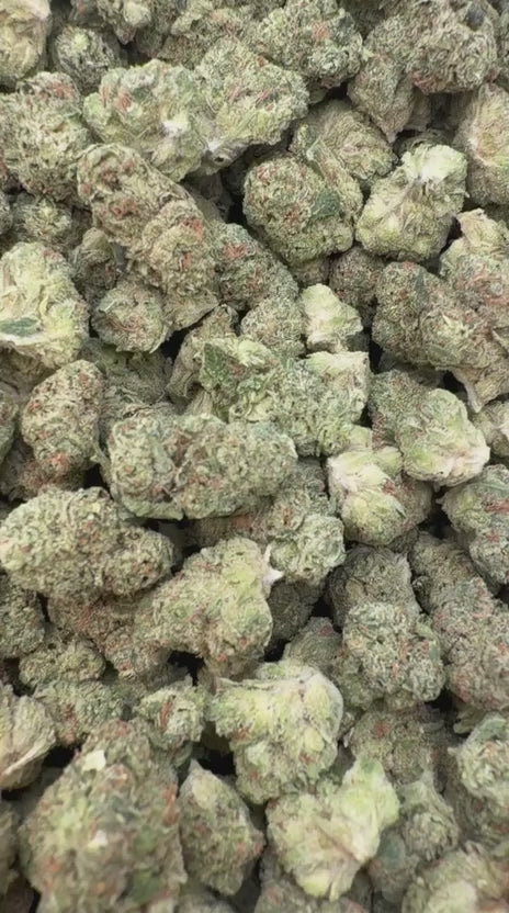 Fire OG Minis - Bulk Minis - Indica