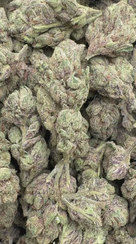 Oakland Runtz - Bulk - Hybrid