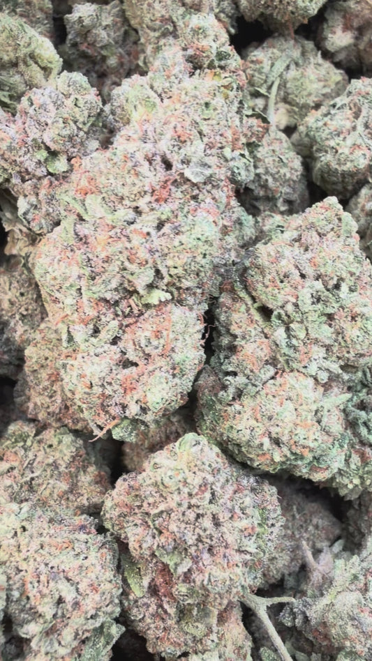 London Pound Cake 97 - Bulk - Indica