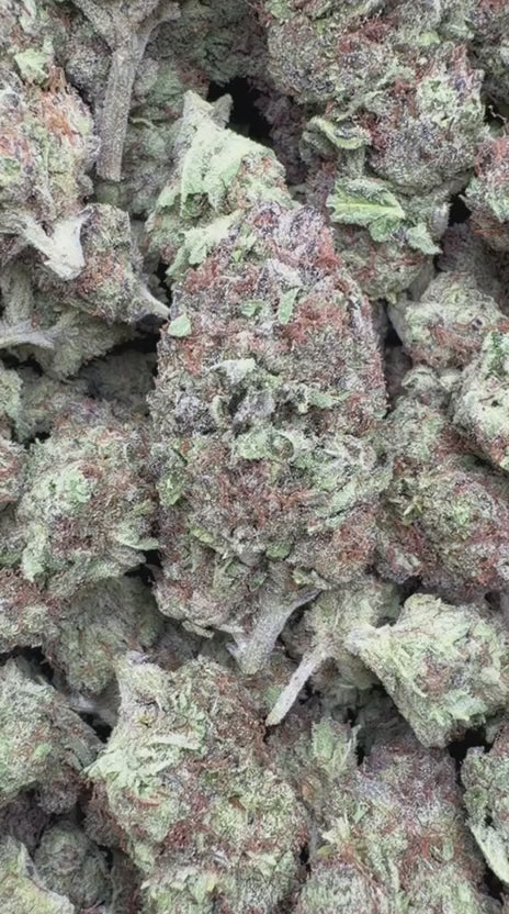 Banana Runtz - Bulk - Hybrid