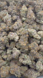 White Zkittlez - Bulk - Hybrid