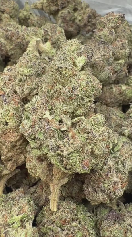 Black Ice - Bulk - Indica