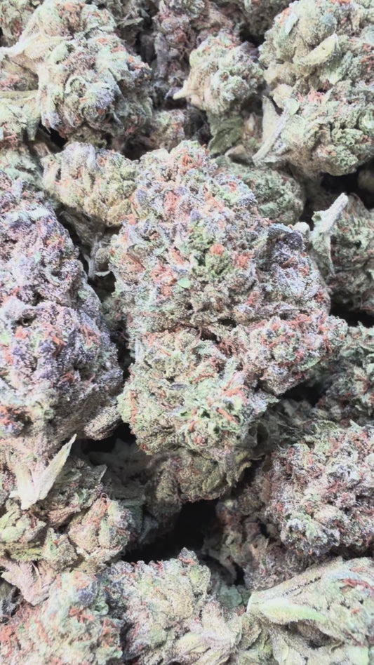 Double Cake - Bulk - Hybrid