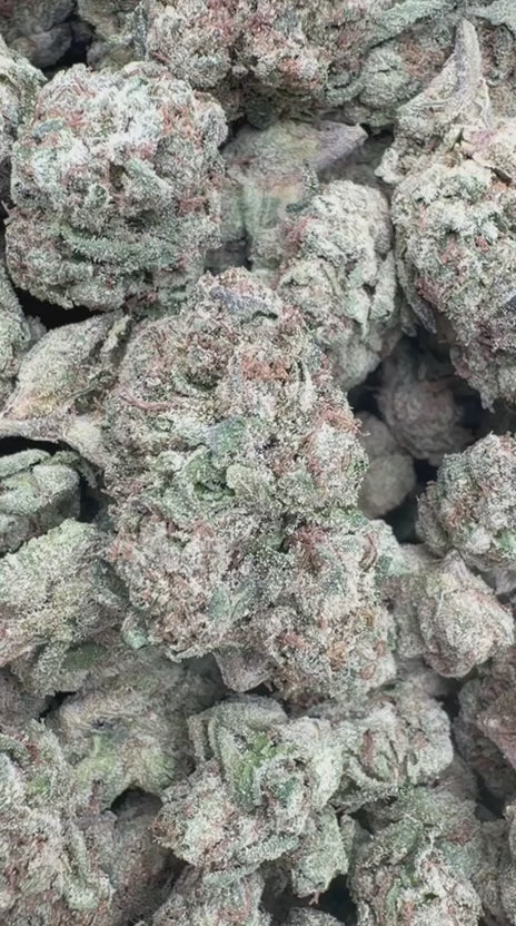 Banana Runtz - Bulk - Hybrid