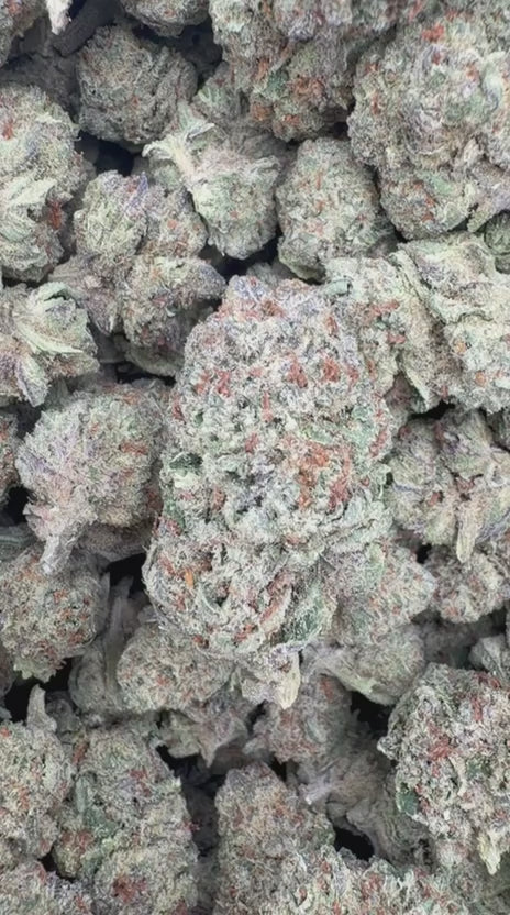 Lemonatti - Bulk - Sativa