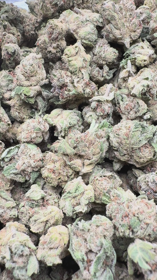 Pink Certz Minis - Bulk Minis - Indica