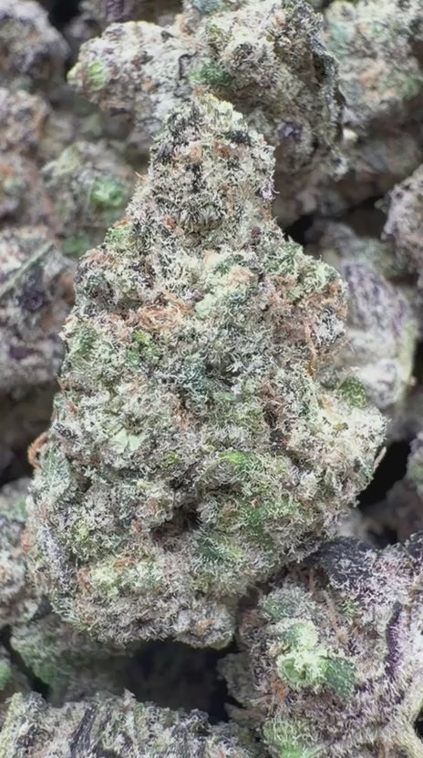 Garlic Cookies Indoor Mediums - Bulk Mediums - Hybrid