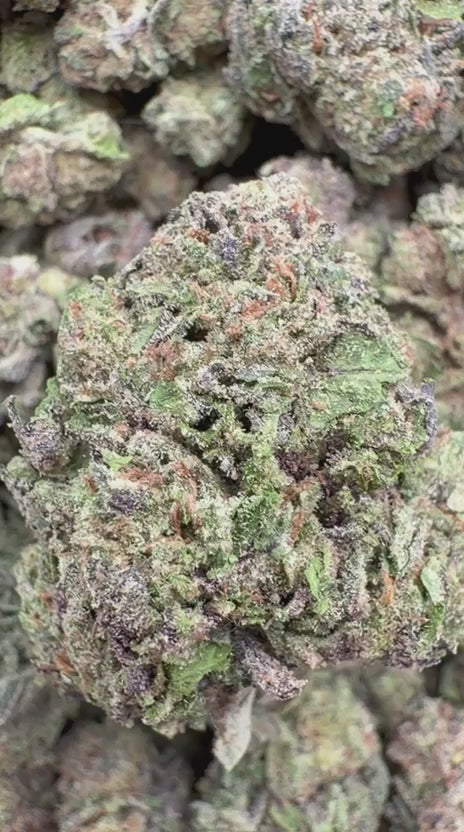 Bubba Candy Indoor - Bulk - Indica