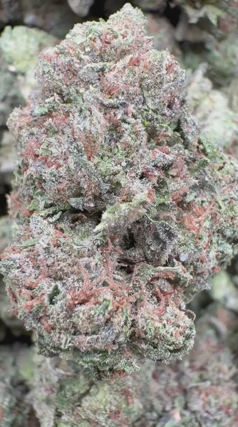 Hard Candy - Bulk- Indica