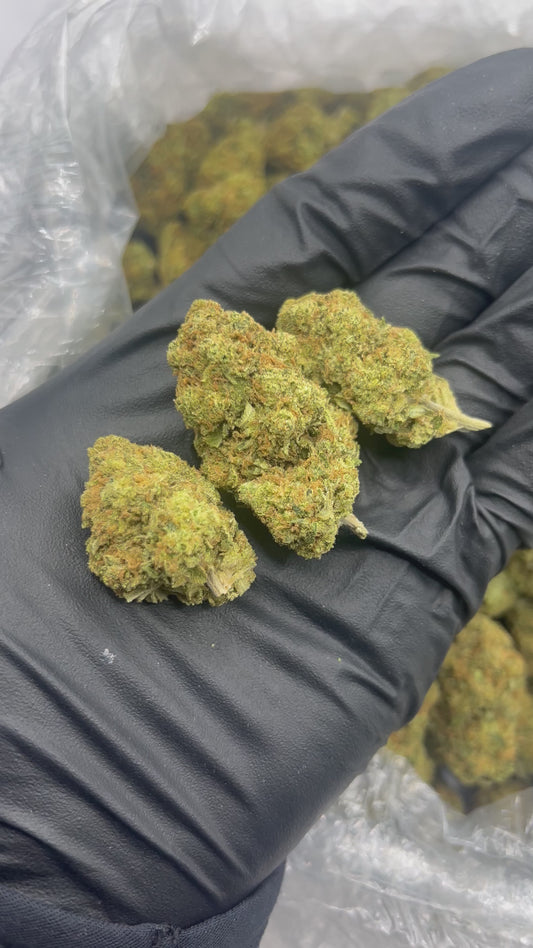 Skywalker OG - Bulk - (Indica)