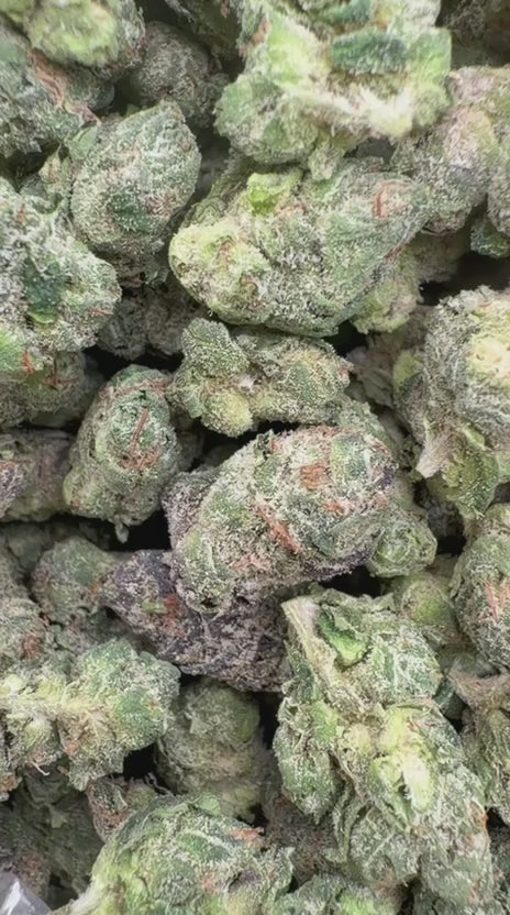 Blue Runtz Indoor Minis - Bulk Minis - Hybrid
