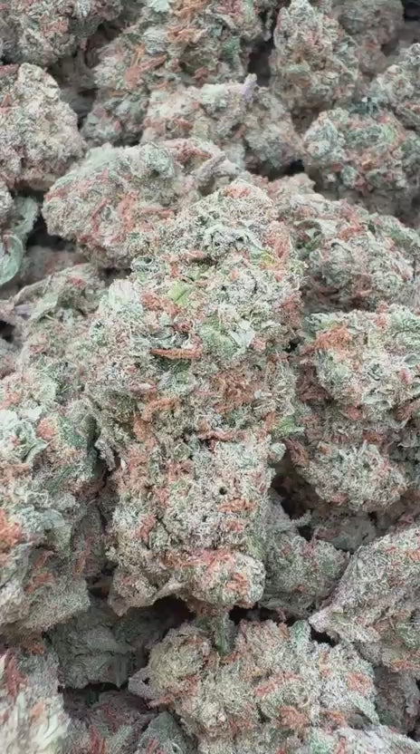 Citrus Skunk Indoor - Bulk - Hybrid