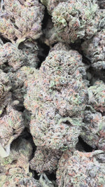 Oreoz - Bulk - Indica