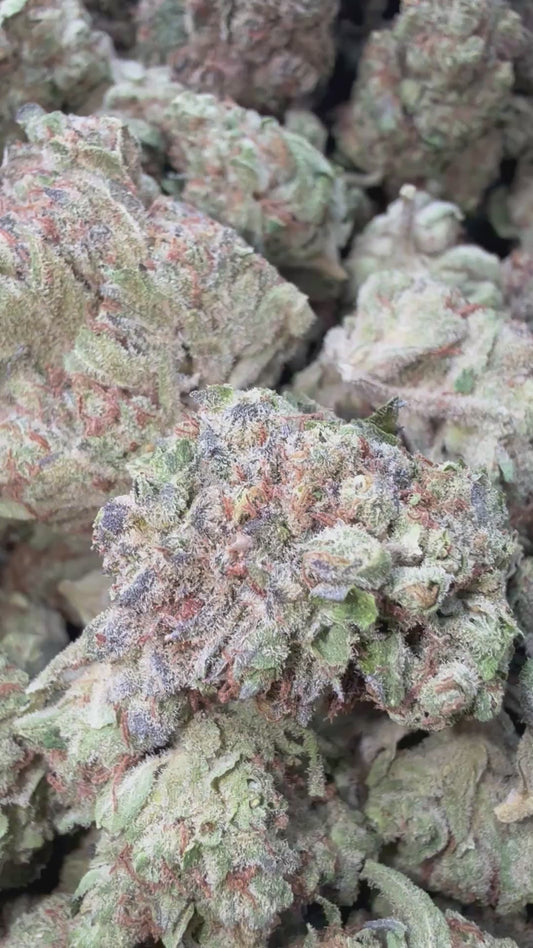 Chocolate Diesel - Bulk - Sativa