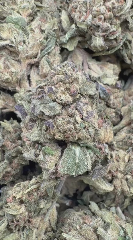 Hella Jelly - Bulk  - Sativa