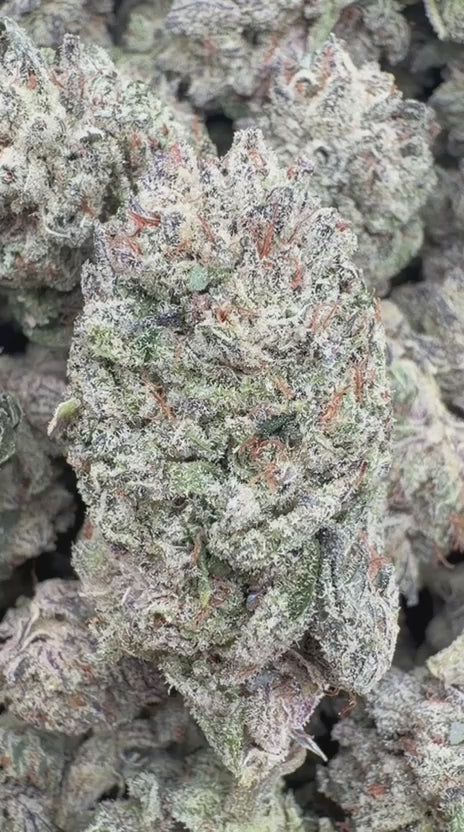 Cookies and Cream - Bulk - Hybrid