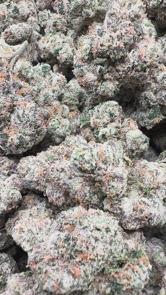 Boutique Exotics - Yuzu Cherries - Bulk - Hybrid