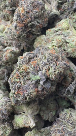 Pinnacle Mintz - Bulk - Indica