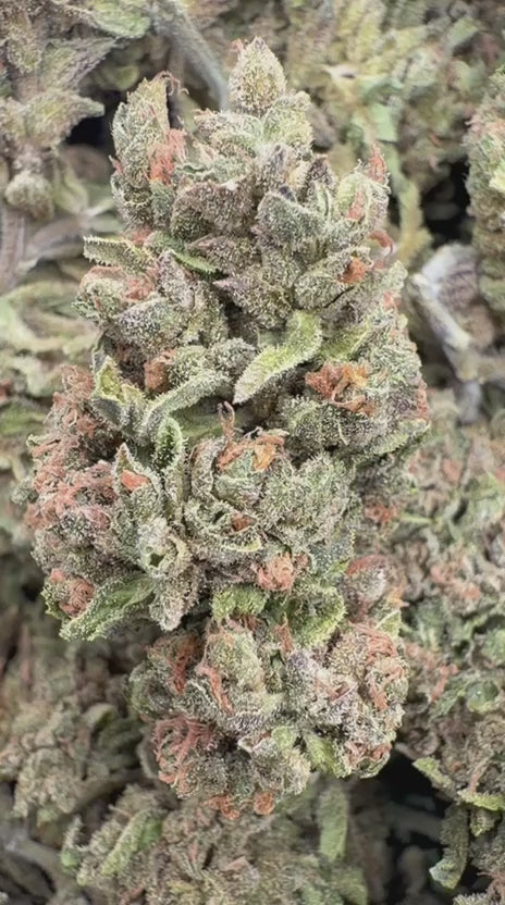 Grease Monkey - Bulk- Indica