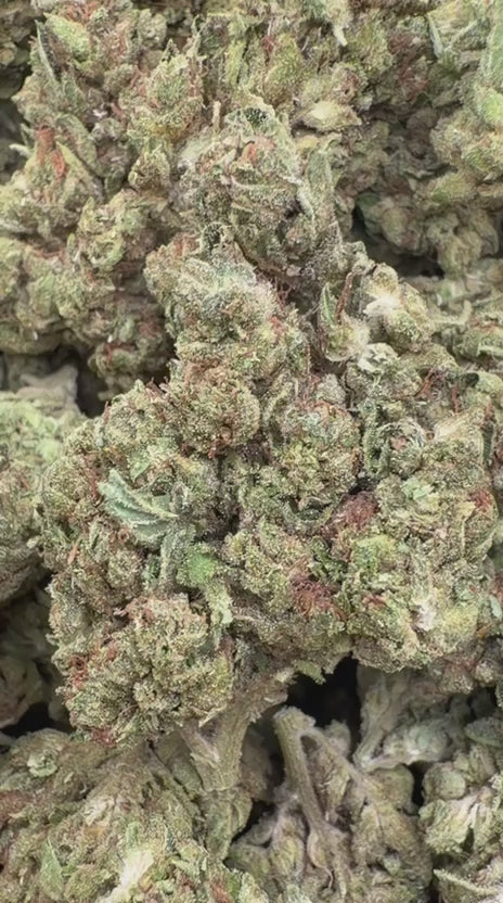 NYC Diesel - Bulk - Sativa