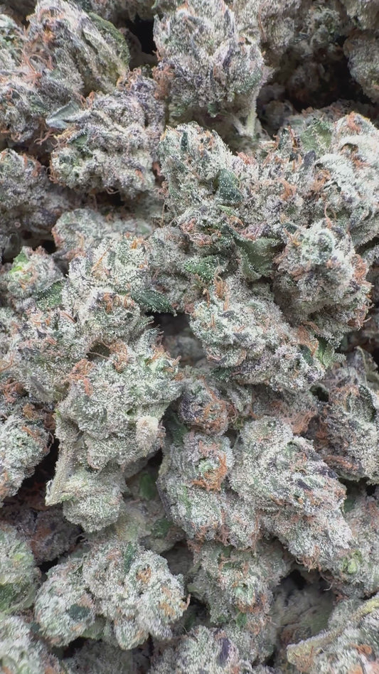 Elite Boutique Exotic Dark Matter - Bulk - Hybrid