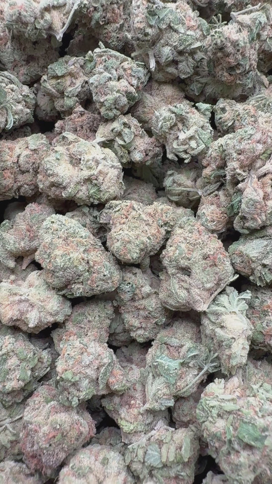 Blueberry Lemon Bars Mediums - Bulk Mediums - Hybrid