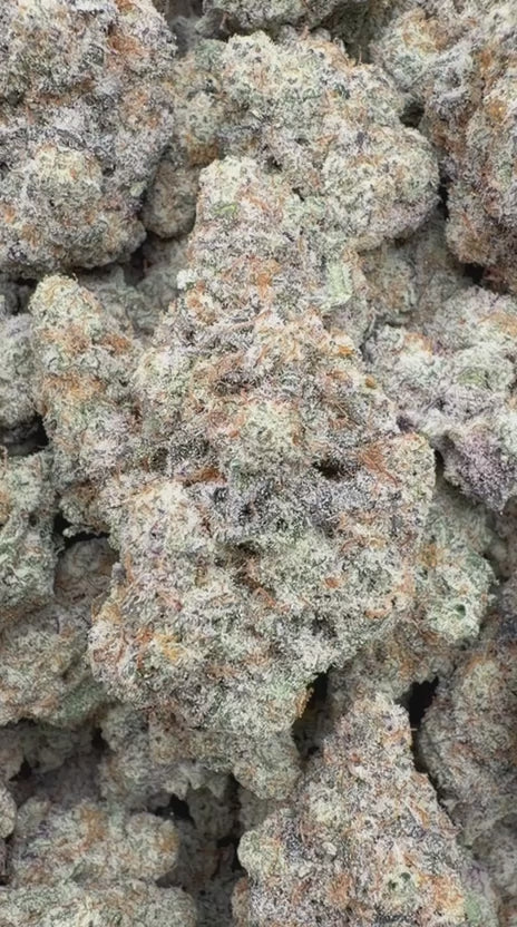 Alaskan Thunder Fuck Indoor - Bulk - Sativa