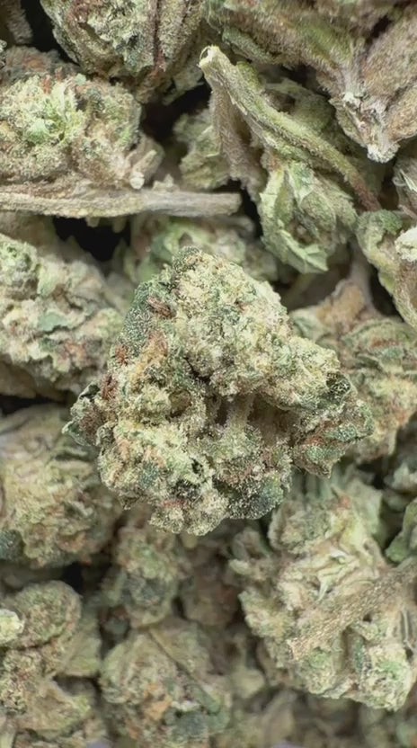 Wedding Cake Minis - Bulk Minis - Indica