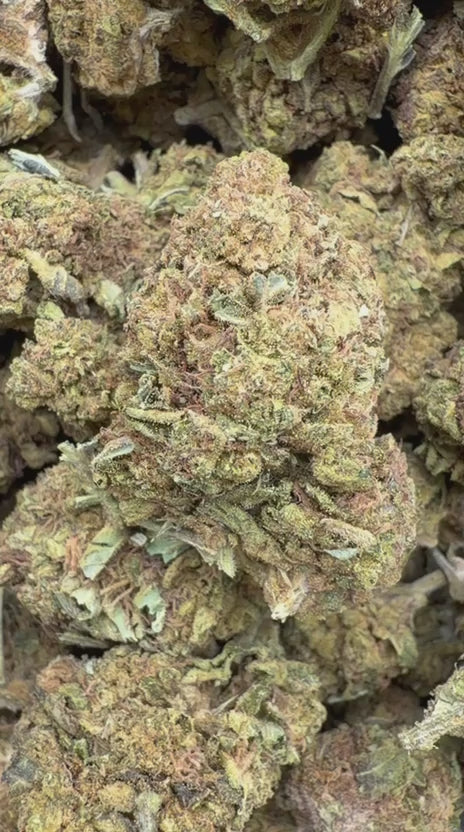 Butterscotch OG - Bulk - Indica