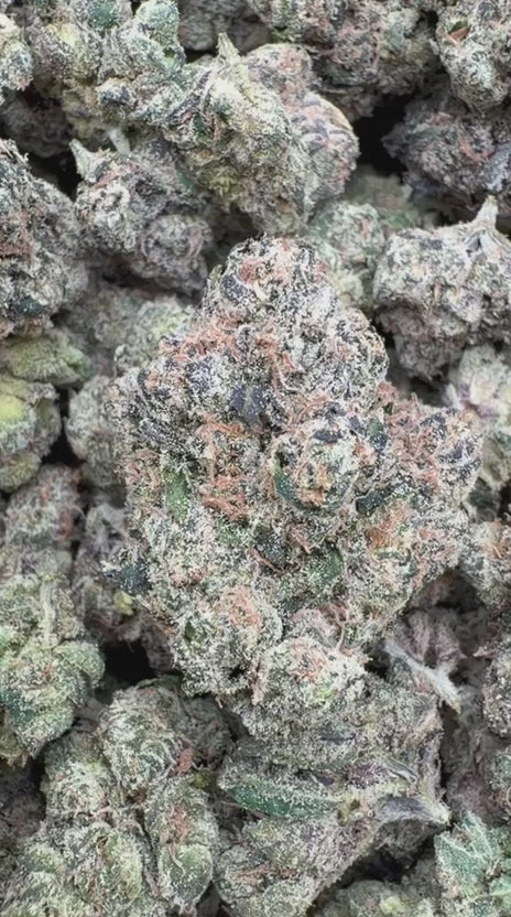Gary Cherry Indoor Mediums - Bulk Mediums - Indica