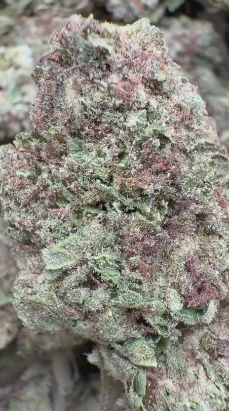 La Kush Cake - Bulk- Indica