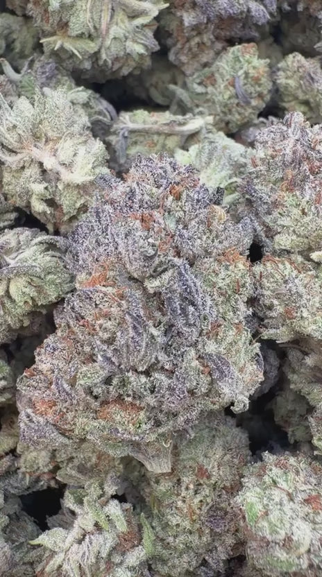 Truffle - Bulk - Indica