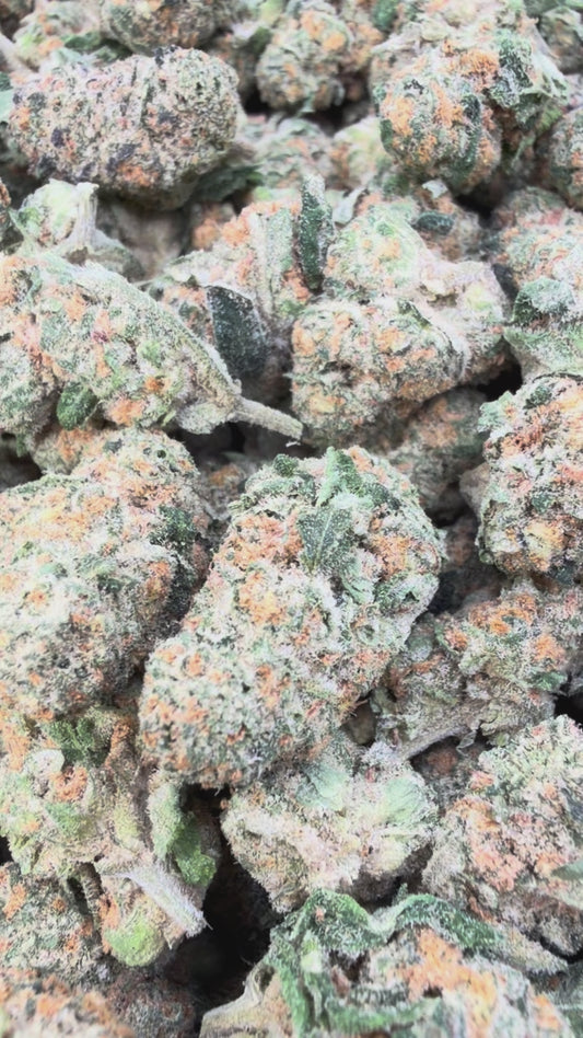 Blue Punch Minis - Bulk Minis - Indica