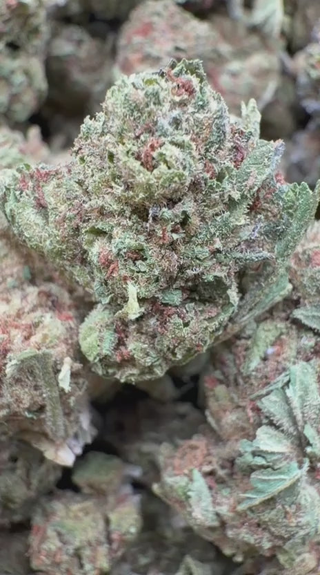 Citrus Skunk Mediums - Bulk Mediums - Hybrid
