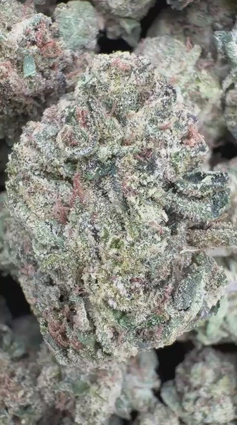 Banana Runtz - Bulk - Hybrid