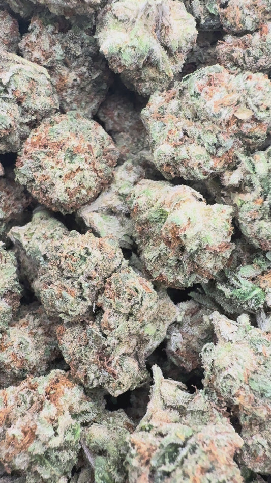 LA Runtz - Bulk - Hybrid