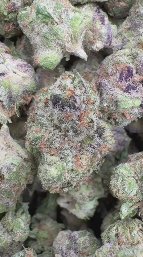 Mendo Breath Minis - Bulk Minis - Indica