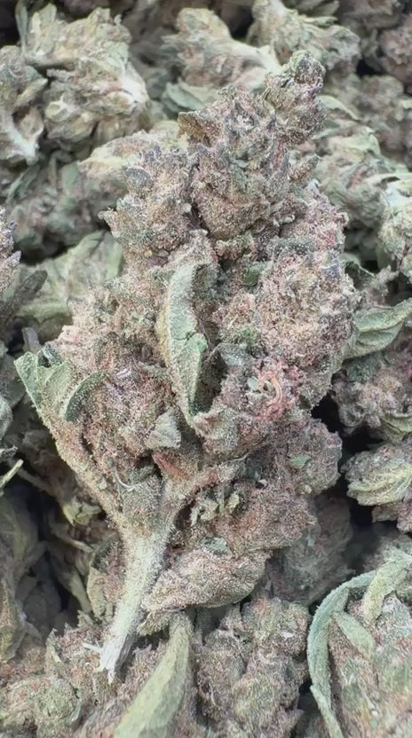Lemon Fuel OG - Bulk - Hybrid