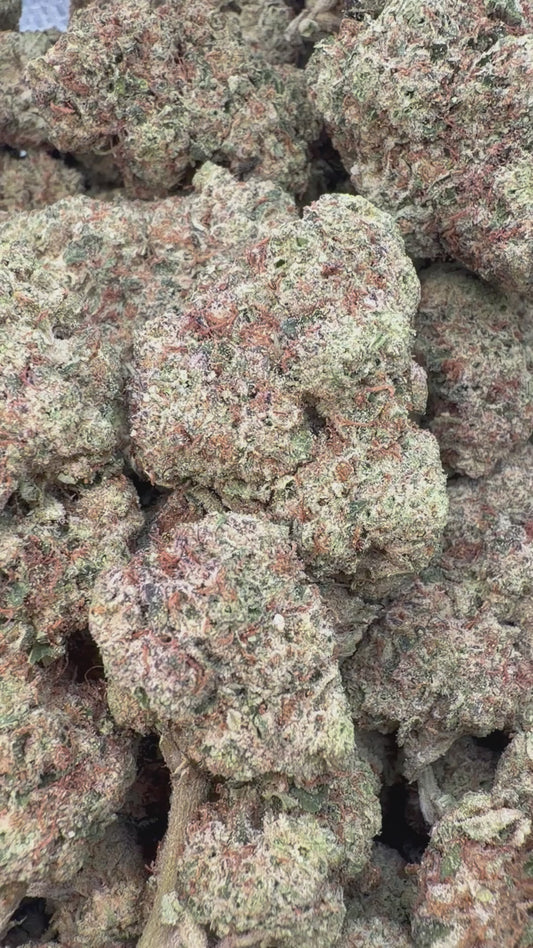 Georgia Pie - Bulk - Indica