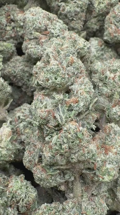 SFV OG - Bulk - Indica