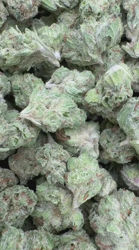 Cookie Fuel Minis - Bulk Minis - Hybrid
