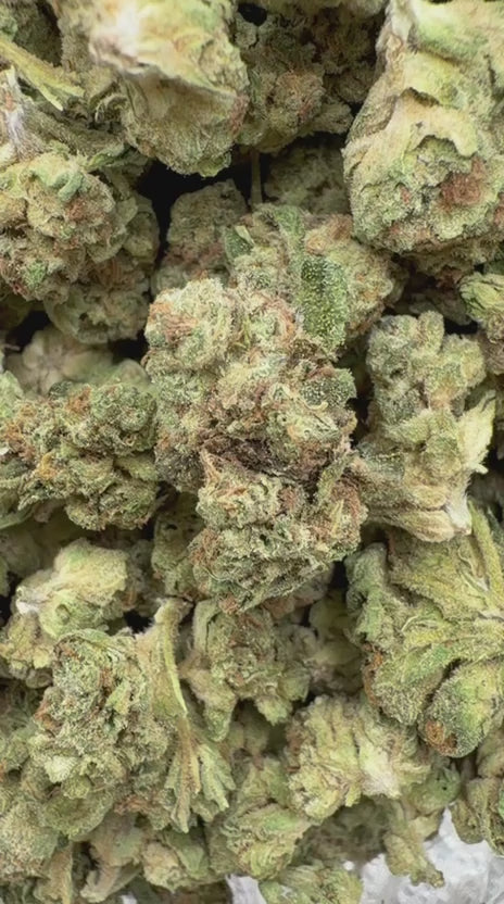 Slurty Minis - Bulk Minis - Indica