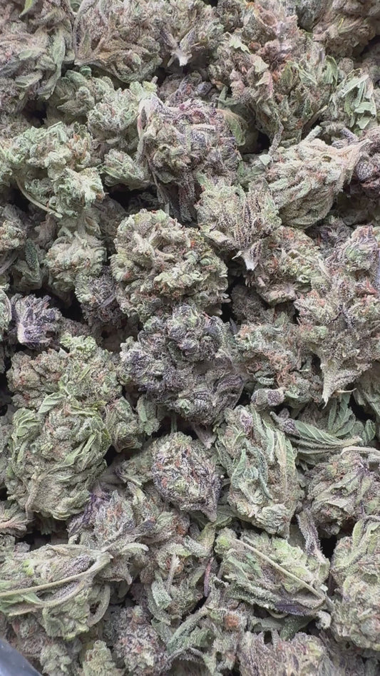 Purple Mendo - Bulk - Indica