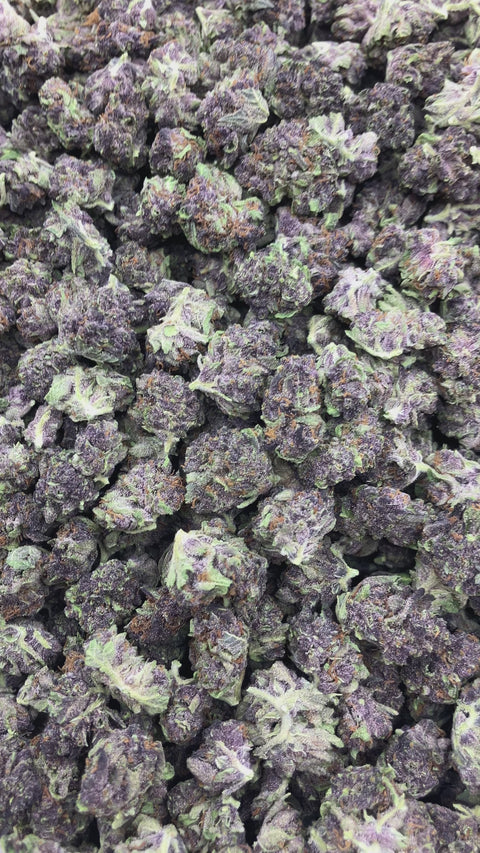 Pop Cherry - Bulk - Minis (Sativa)