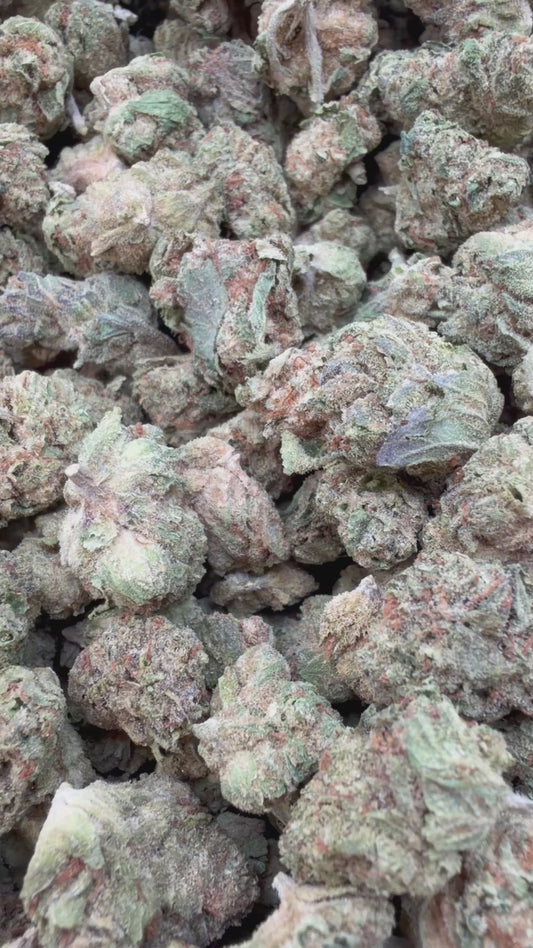 Double Runtz Minis - Bulk Minis - Hybrid