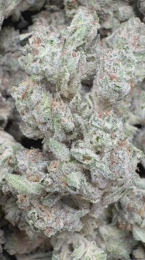 Cookies and Cream - Bulk - Hybrid