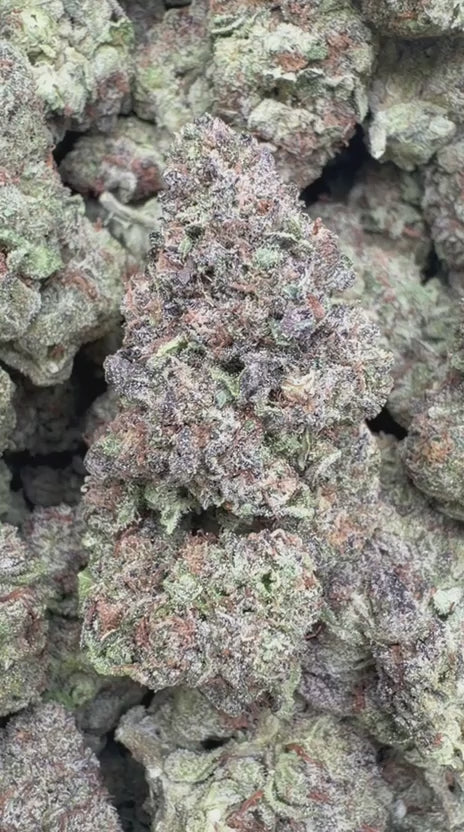Italian Ice Cream Cookies - Bulk - Hybrid