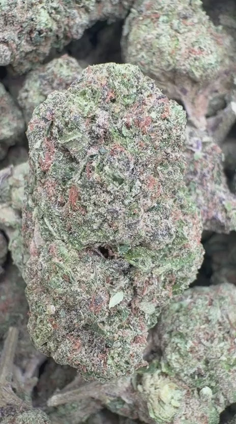 Lemon Cherry Blasters - Bulk- Hybrid